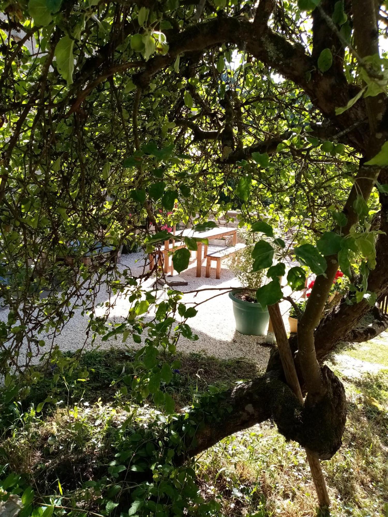 Gite Les 27 Roses Et Plus Châtel-Censoir Exteriér fotografie